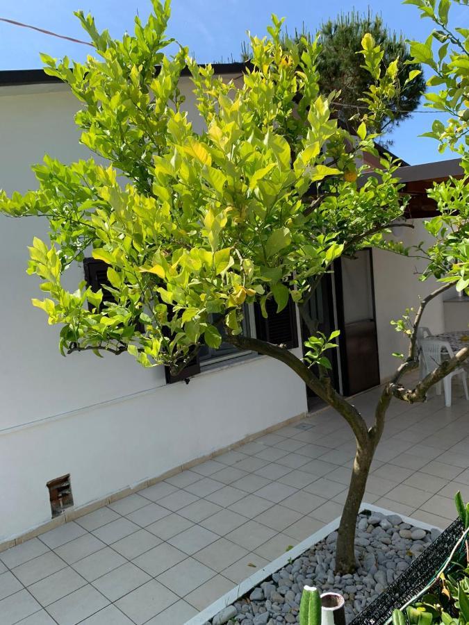 Quirino Residence Gaeta Exterior foto